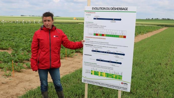 Aliette Collette, chef de marché grandes cultures chez UPL, a présenté les solutions envisagées aux techniciens de la distribution et des sucreries, sur le site d’Athies dans la Somme. © B. CAILLIEZ